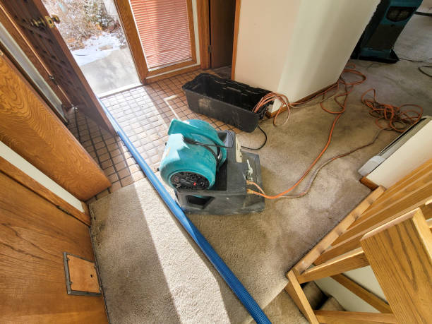 Carpet water damage restoration in Hutchinson Island South, FL